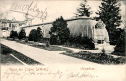 Eisgrub Ansichtskarte Palmenhaus