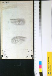 Blatt mit Abbildungen vom menschlichem Auge