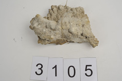 Mineral/Gestein